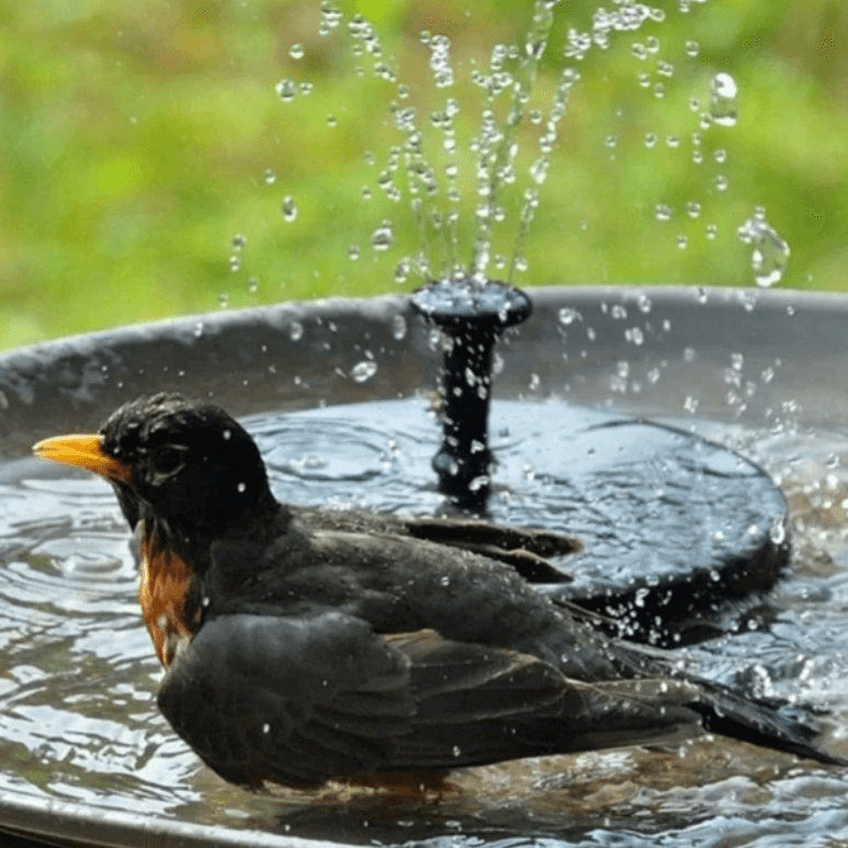 LED Solar Energy Fountain - product detail 4