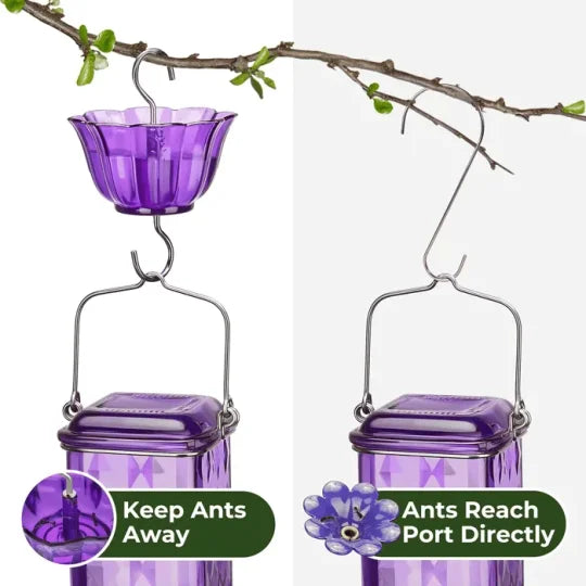 24oz Leak Proof Glass Hummingbird Feeder - product detail 5