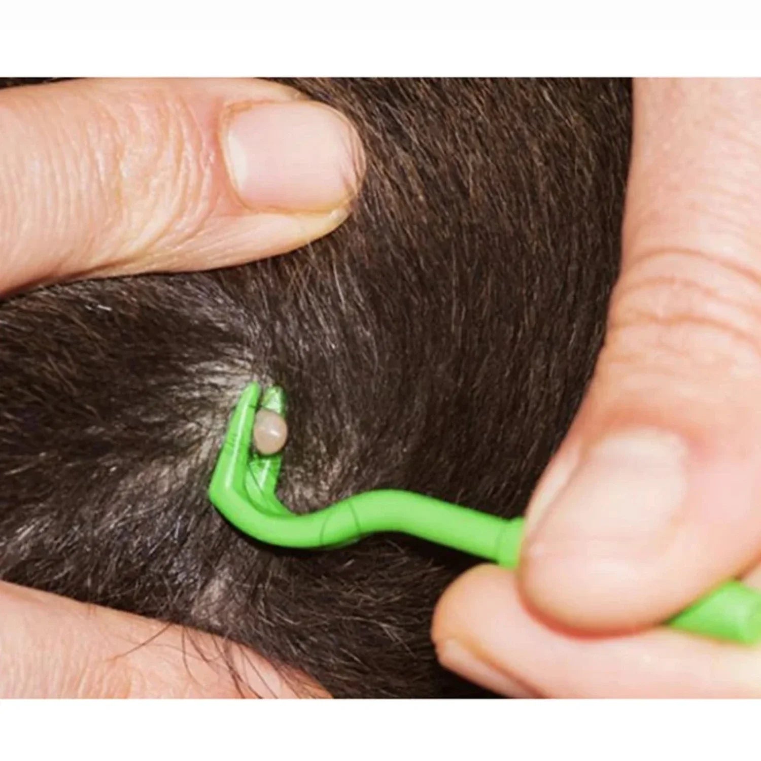 Tick Removal Device for Dogs and Pets - product detail 3
