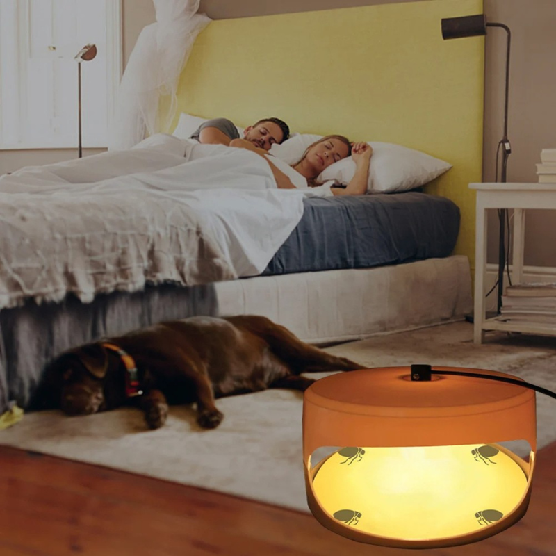 Indoor Bed Bug Trap - product detail 2