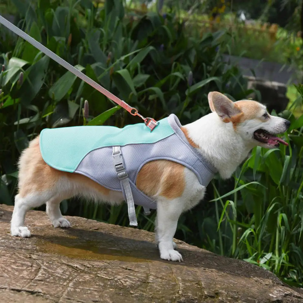 Dog Cooling Vest for Outdoor Activities - product detail 2