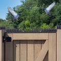 NOMOVA Plastic Bird Repeller Control Spikes