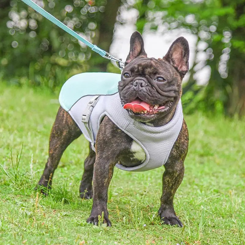 Dog Cooling Vest for Outdoor Activities - product detail 4