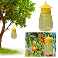 NOMOVA Hanging Fruit Fly Trap