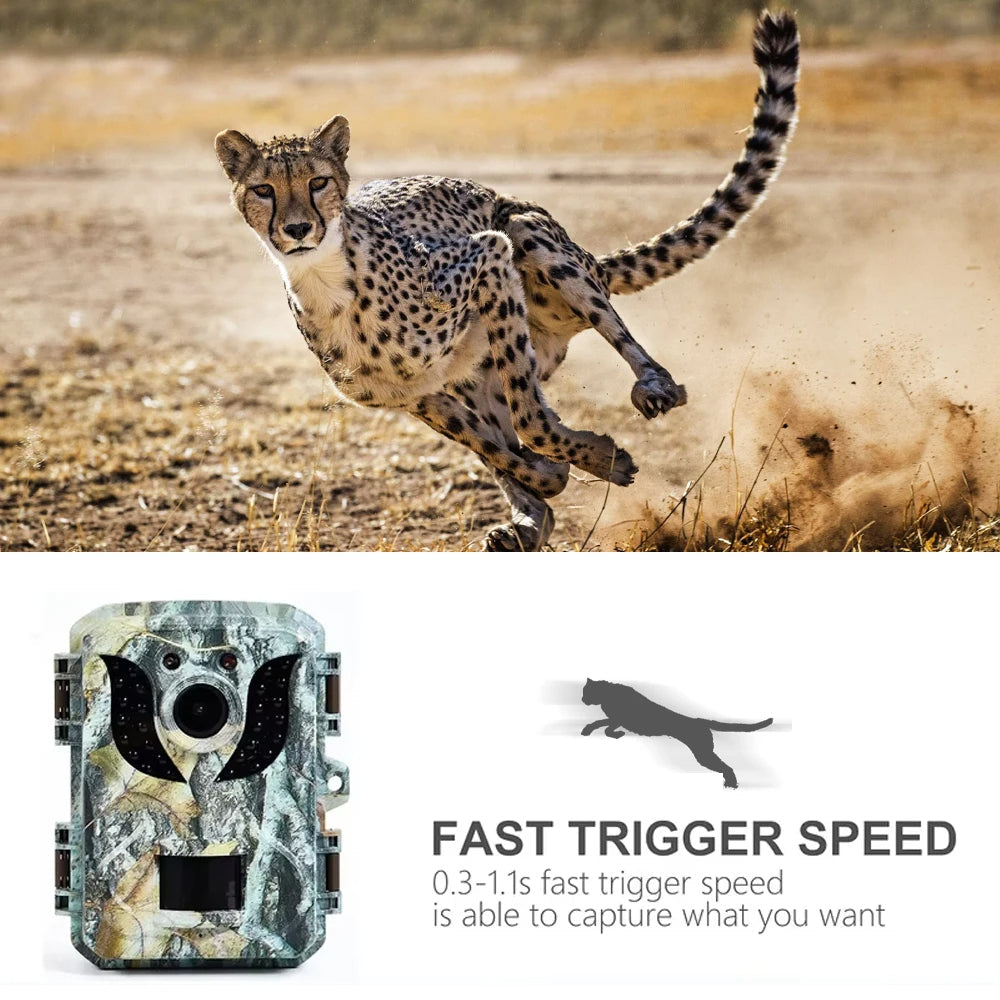 Compact Wildlife Camera with HD Infrared Night Vision - product detail 4