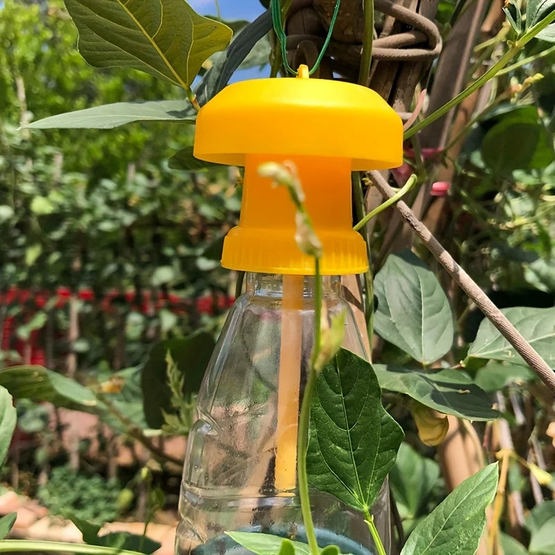 Fruit Fly Trap with Hanging Cover - product detail 3