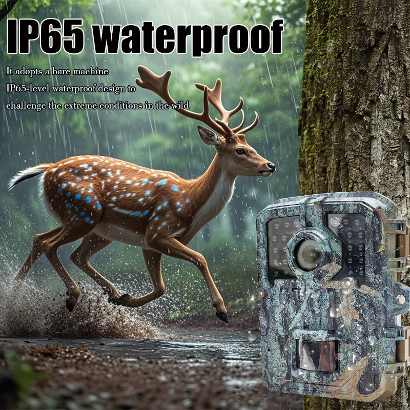 Mini 16MP Night Vision Trail Camera with PIR Motion - product detail 5