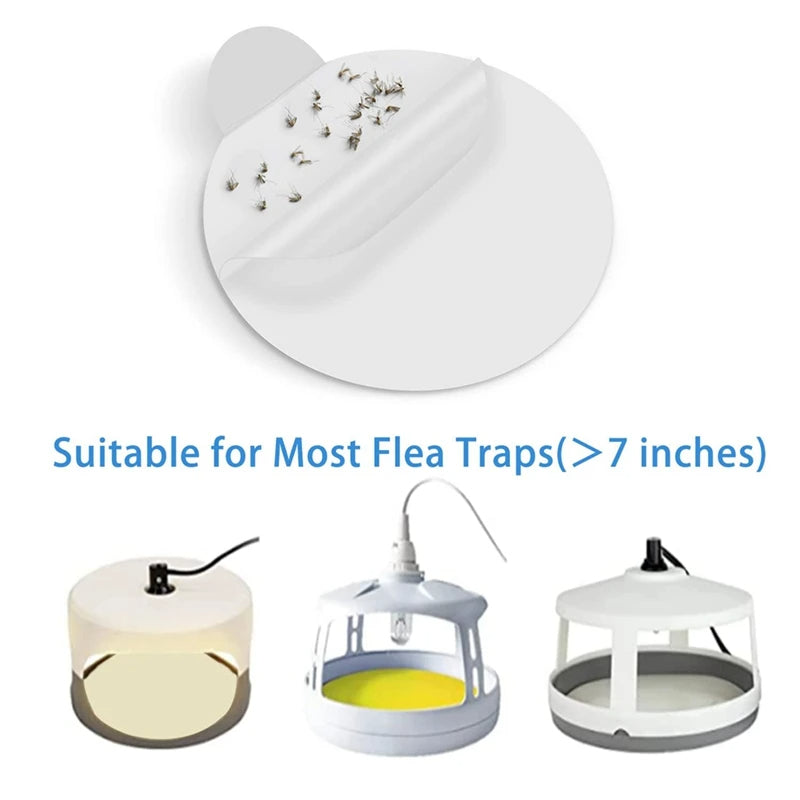 Sticky Bed Bug Trap Refill Glue Boards - product detail 4