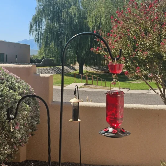 24oz Leak Proof Glass Hummingbird Feeder - product detail 2