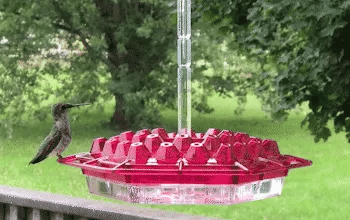 Ant Proof Hummingbird Feeder Outdoor Hanging Perch - product detail 11
