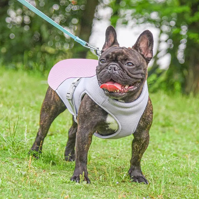 Dog Cooling Vest for Outdoor Activities - product detail 3
