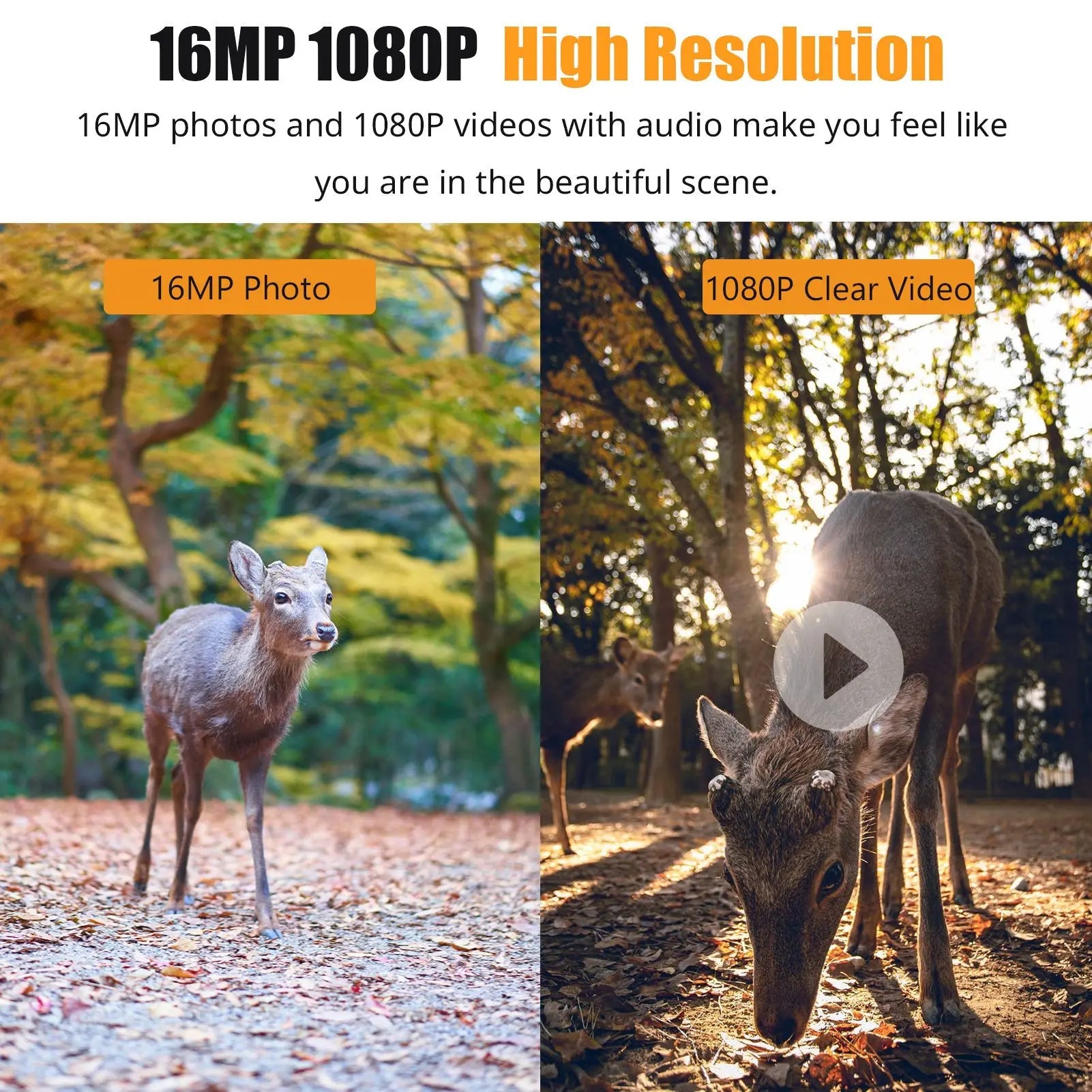 1080P Night Vision Trail Camera - product detail 2