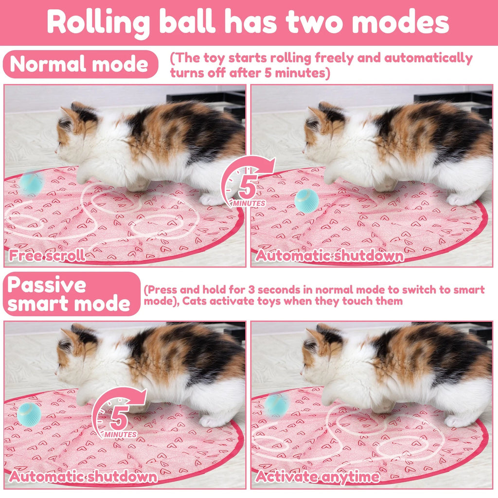 Interactive Cat Hunting Toy with Smart Ball - product detail 3