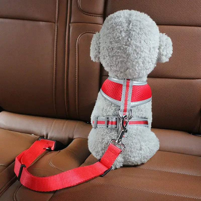 NOMOVA Adjustable Dog Seat Belt