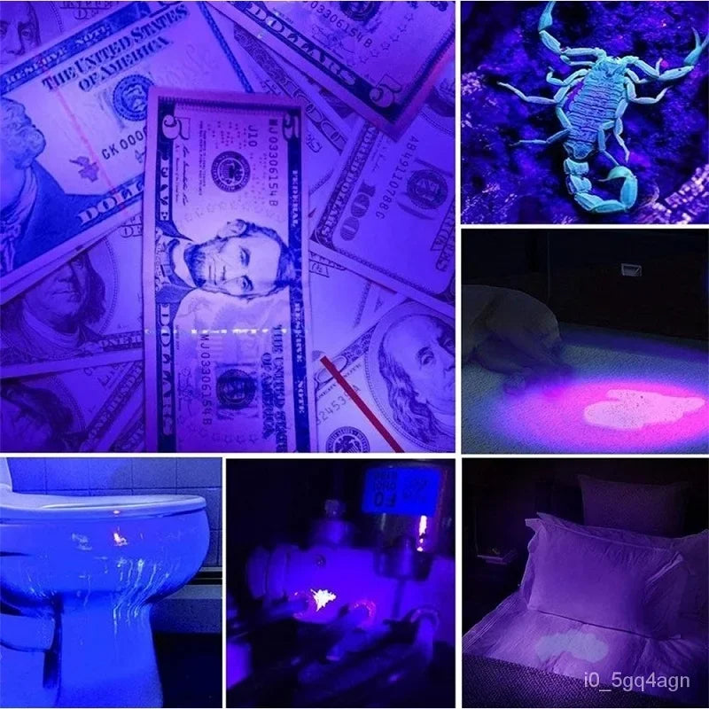 UV Flashlight for Bed Bug Detection and Stain Finder - product detail 3