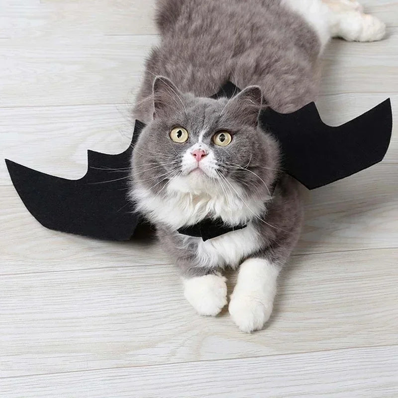 NOMOVA Bat Wing Halloween Costume for Pets