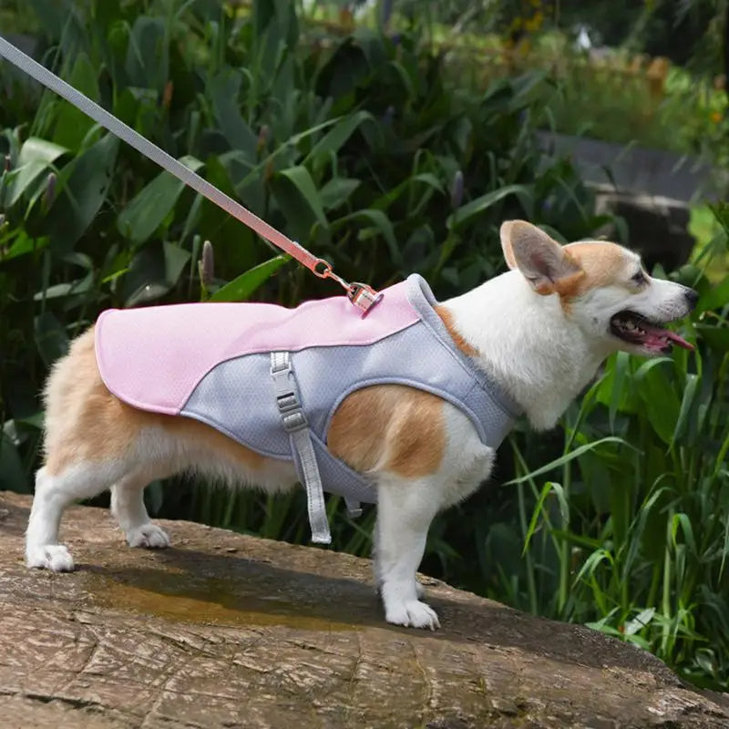 NOMOVA Dog Cooling Vest for Outdoor Activities