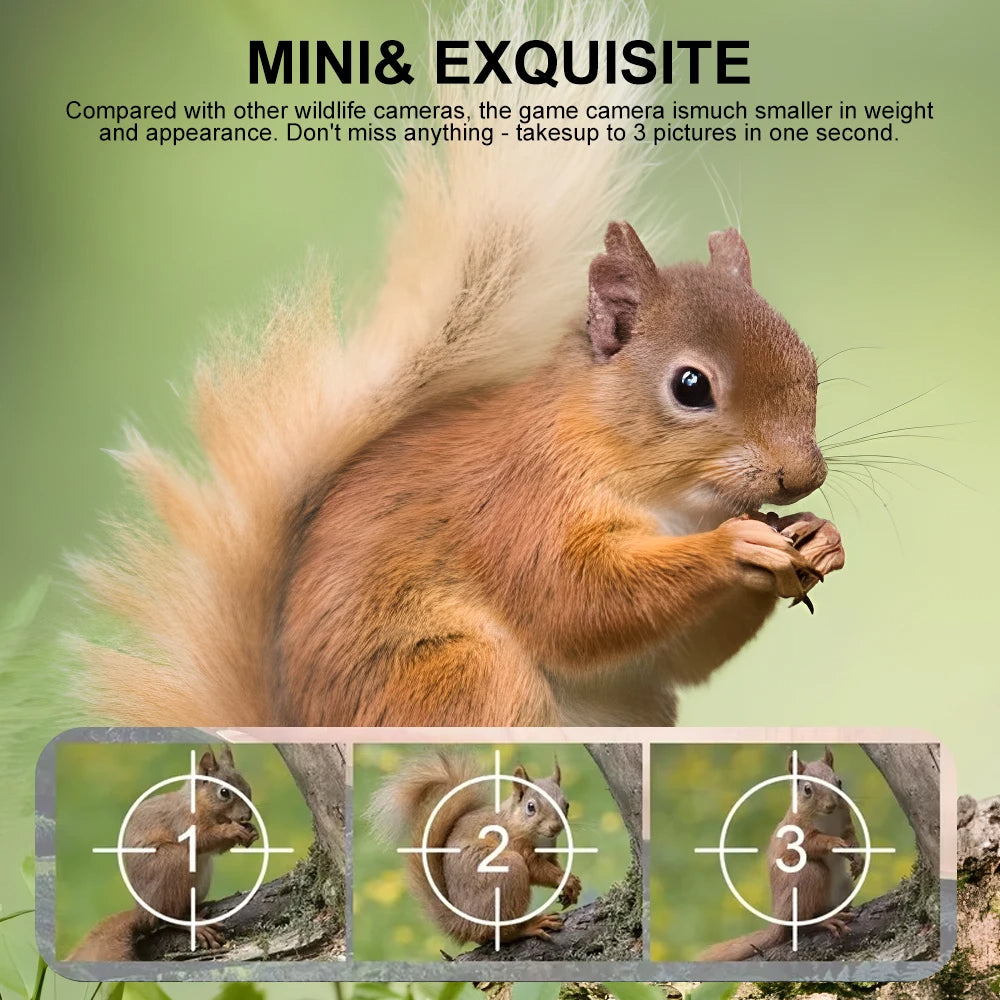 Compact Wildlife Camera with HD Infrared Night Vision - product detail 3