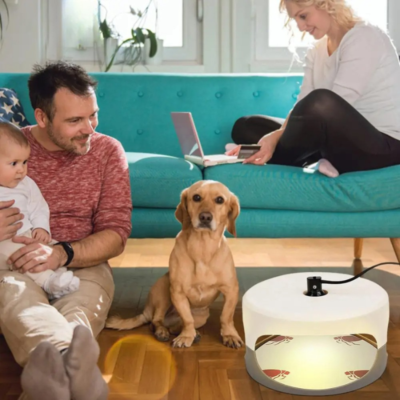 Indoor Bed Bug Trap - product detail 4