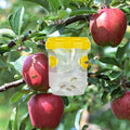 NOMOVA Insect Fruit Fly Traps