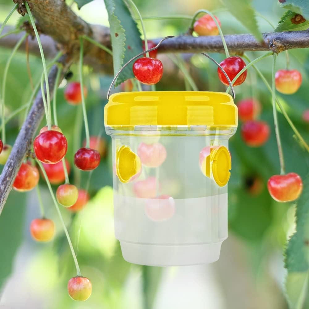 Insect Fruit Fly Traps - product detail 3
