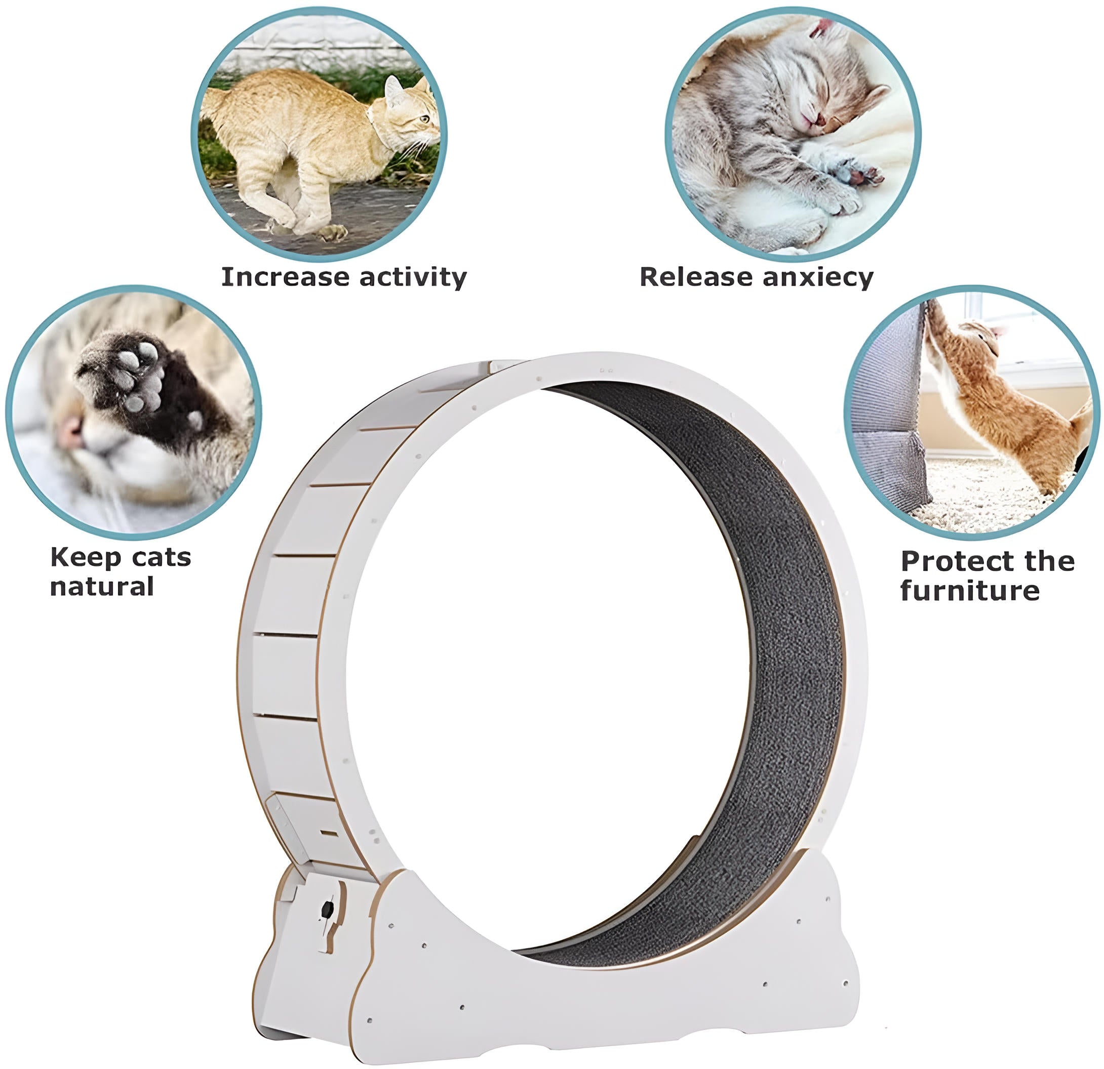 Cat Exercise Wheel - product detail 2