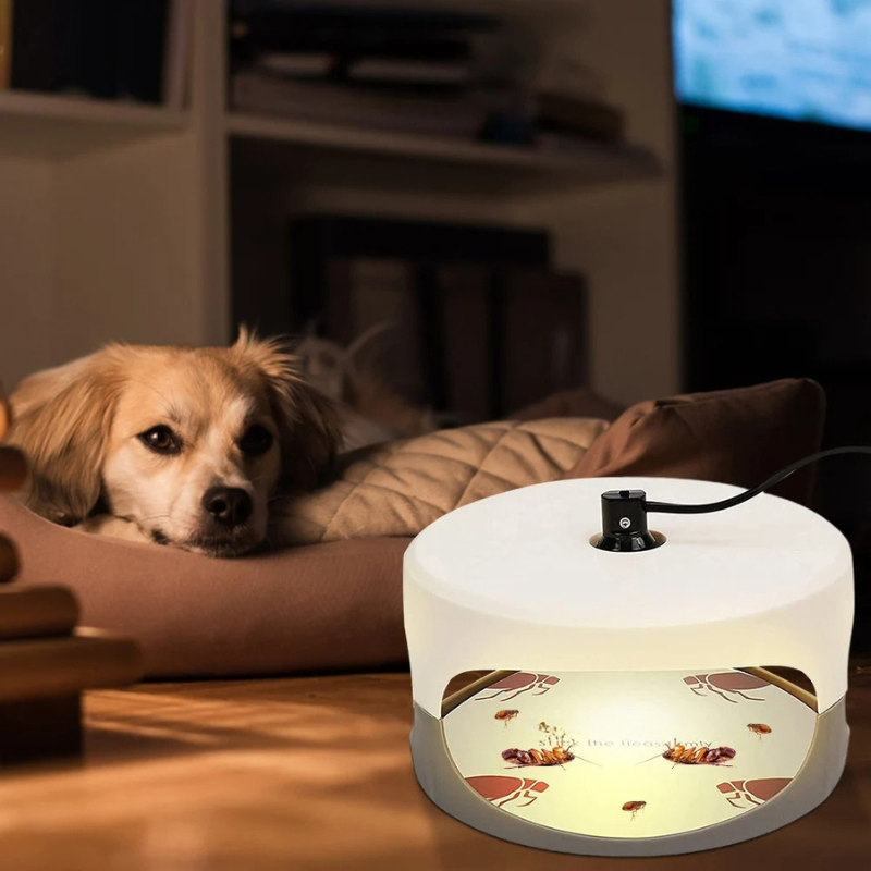 Indoor Bed Bug Trap - product detail 5