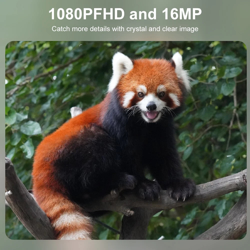 Compact Wildlife Camera with HD Infrared Night Vision - product detail 2