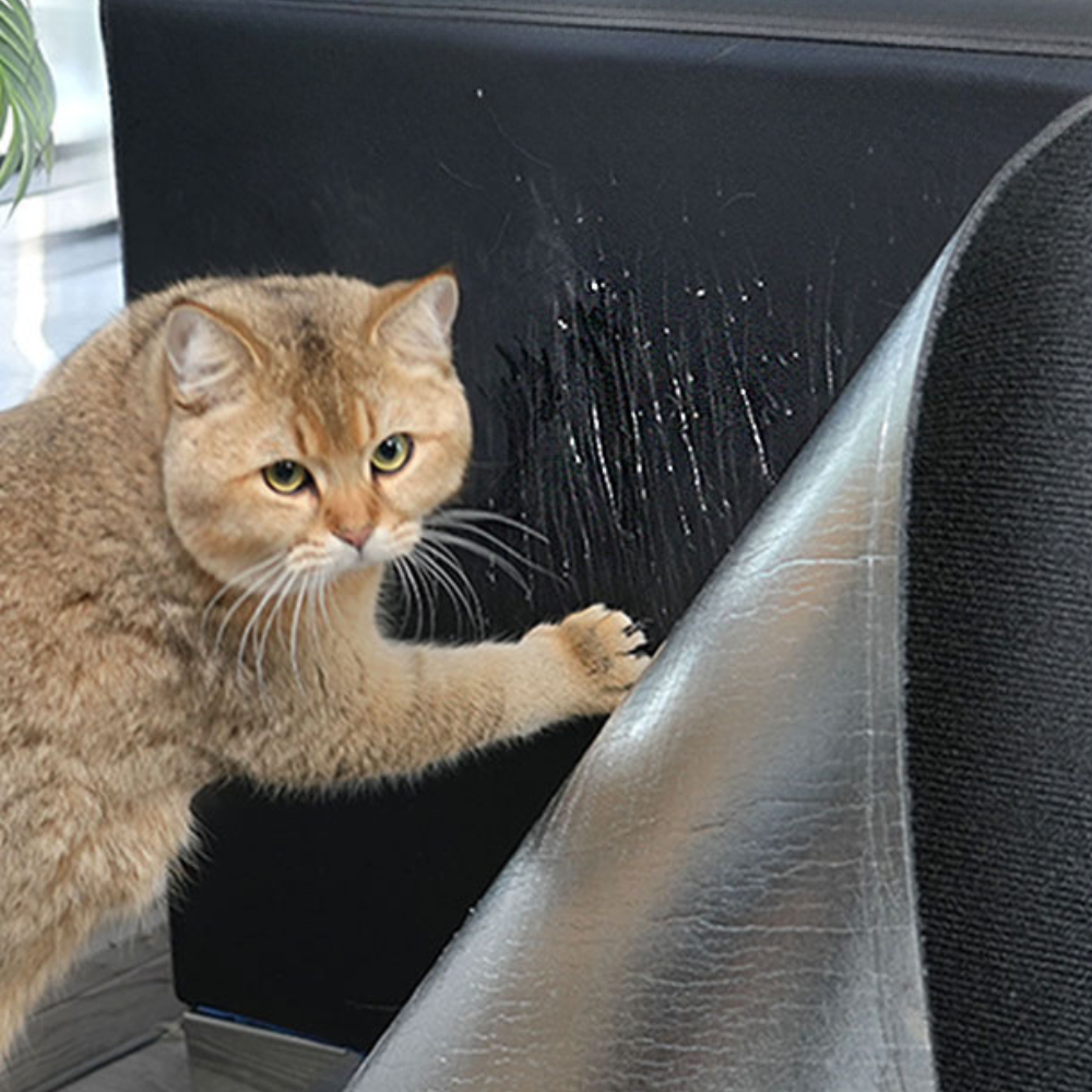 Cat Scratch Couch Guard Protector Carpet Mat - product detail 9