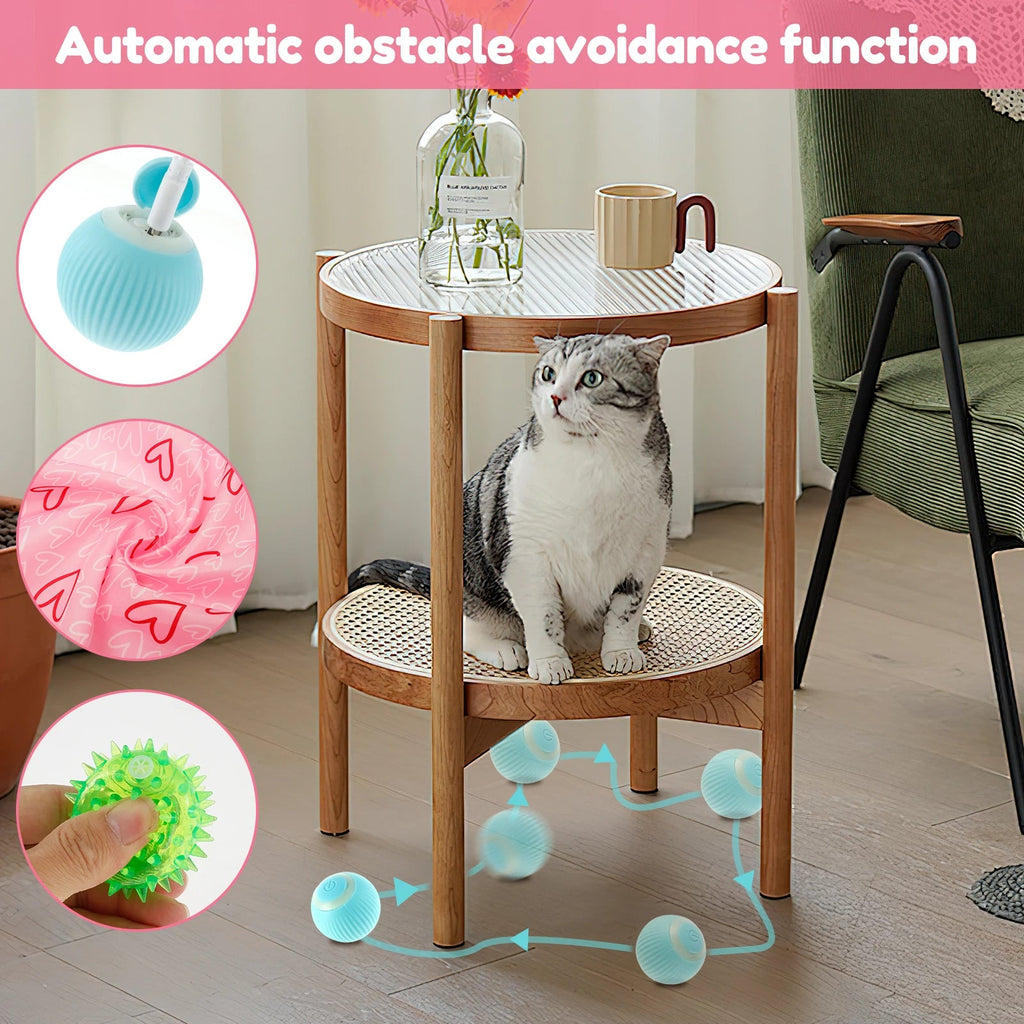 Interactive Cat Hunting Toy with Smart Ball - product detail 2