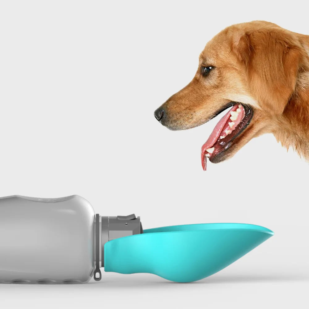 NOMOVA Portable Dog Water Bottle