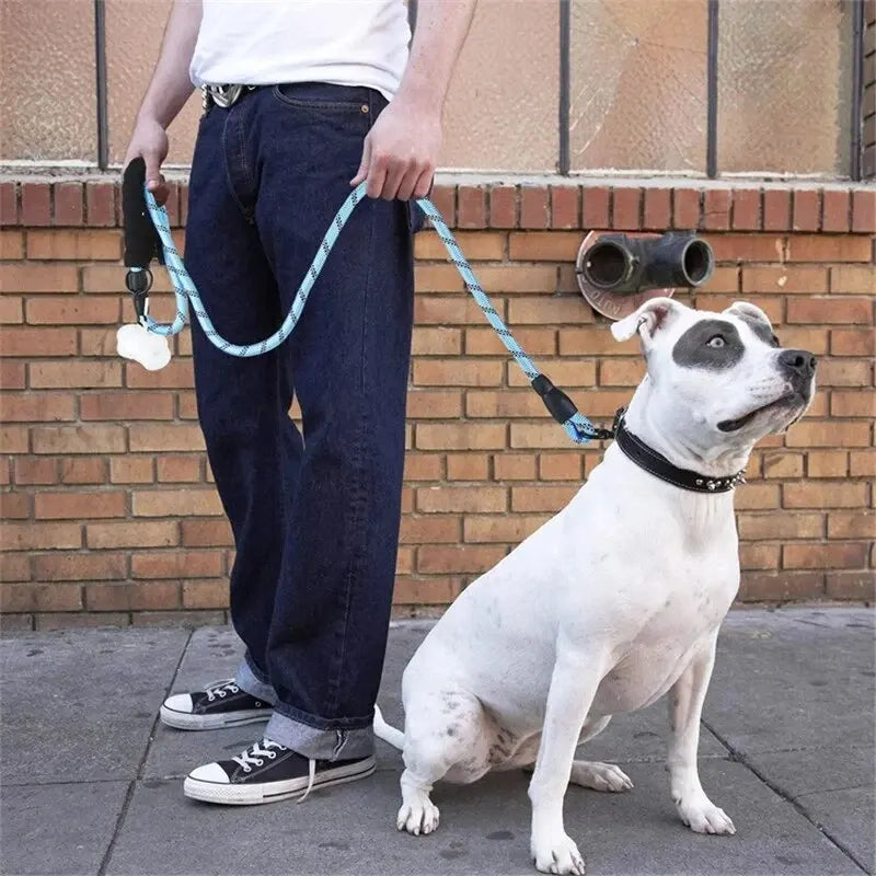 NOMOVA Reflective Dog Leash with Padded Handle
