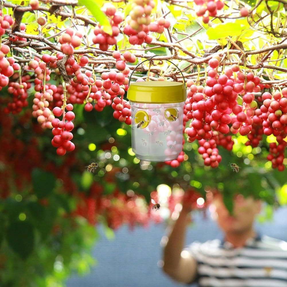 Insect Fruit Fly Traps - product detail 4