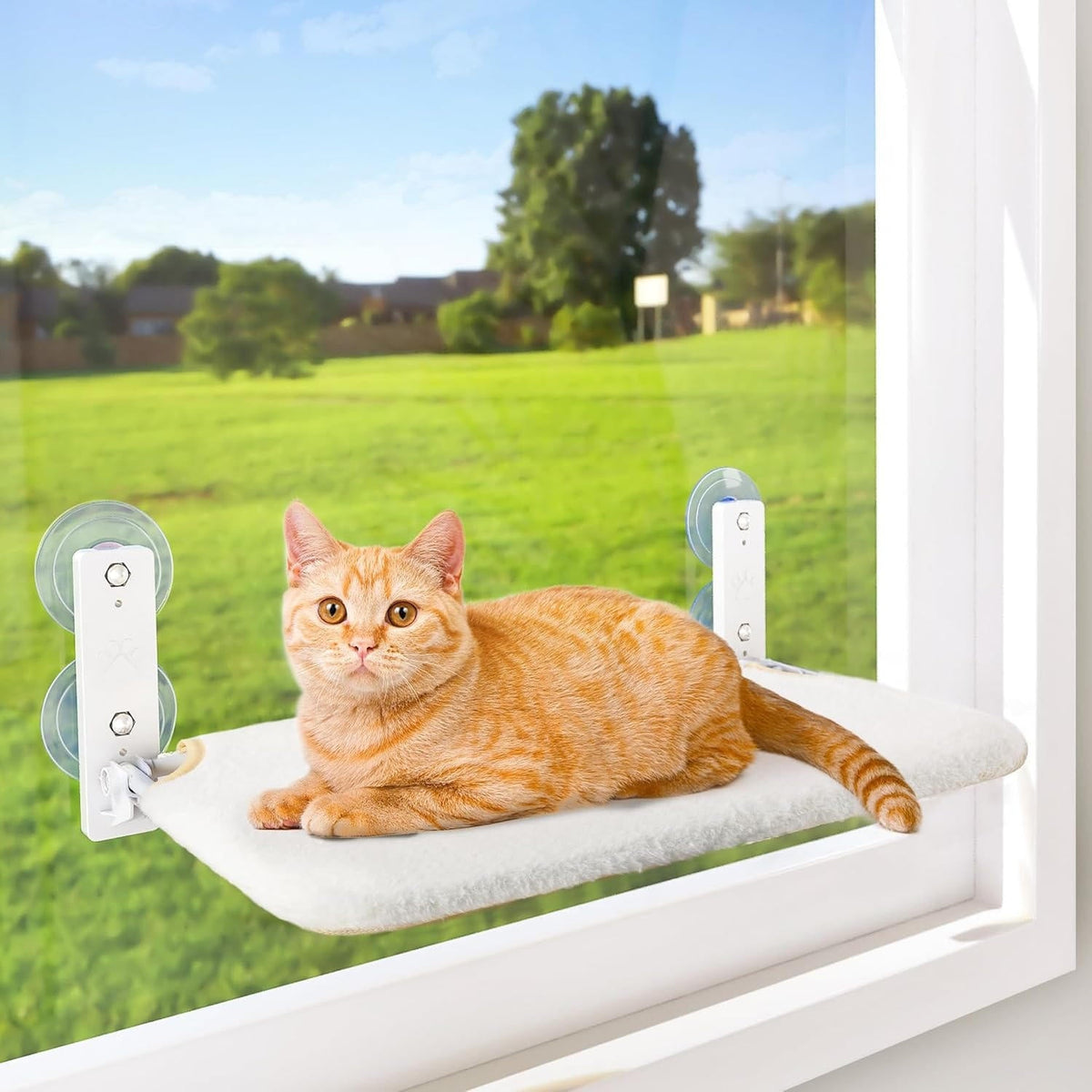 Cat Hammock Window - product detail 12