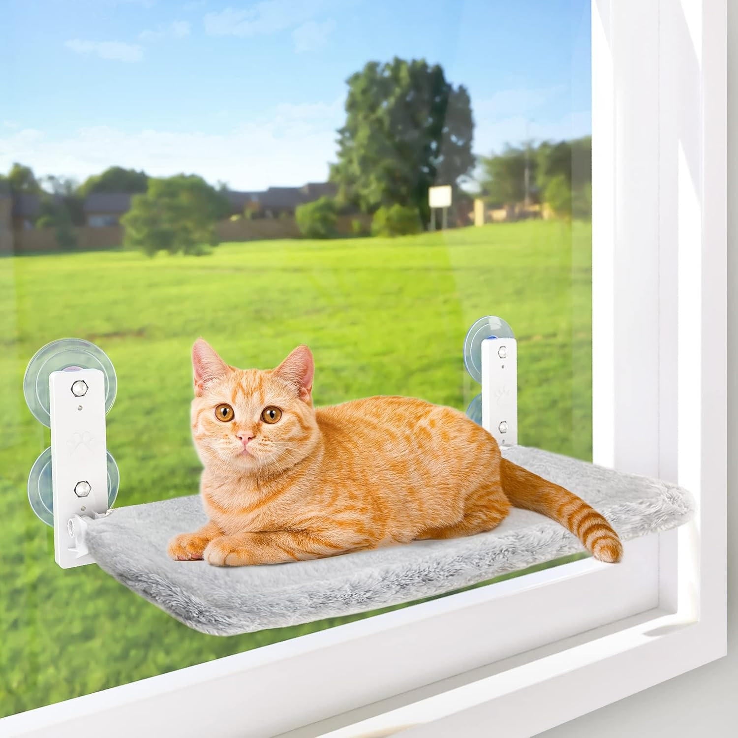 NOMOVA Cat Hammock Window
