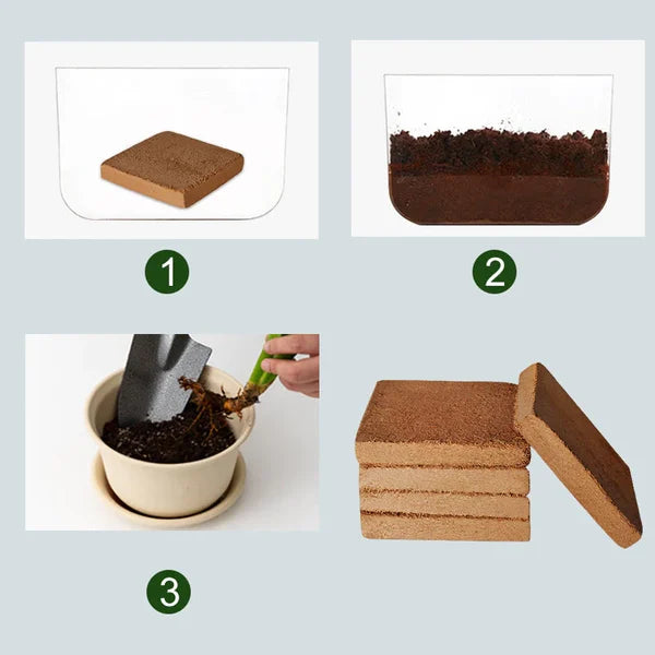 Organic Coconut Coir For Plants - product image 4