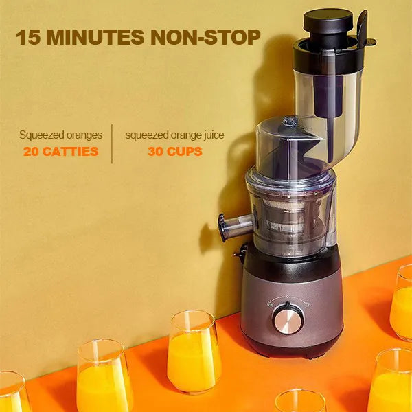 Automatic Juicer - Juicer Household Residue - product detail 7
