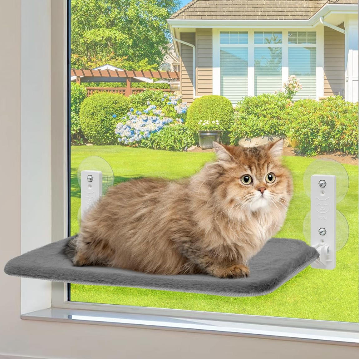 Cat Hammock Window - product detail 11