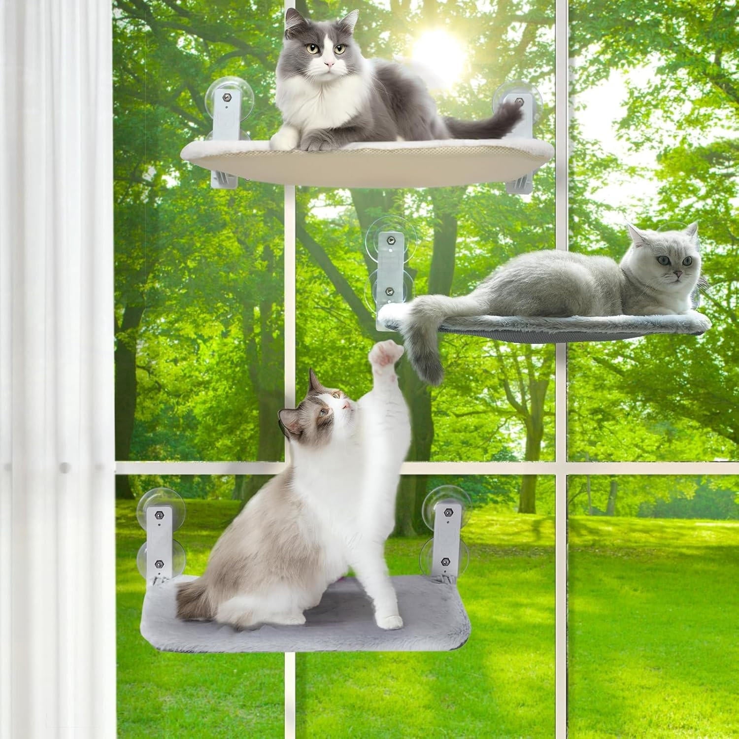 Cat Hammock Window - product detail 3