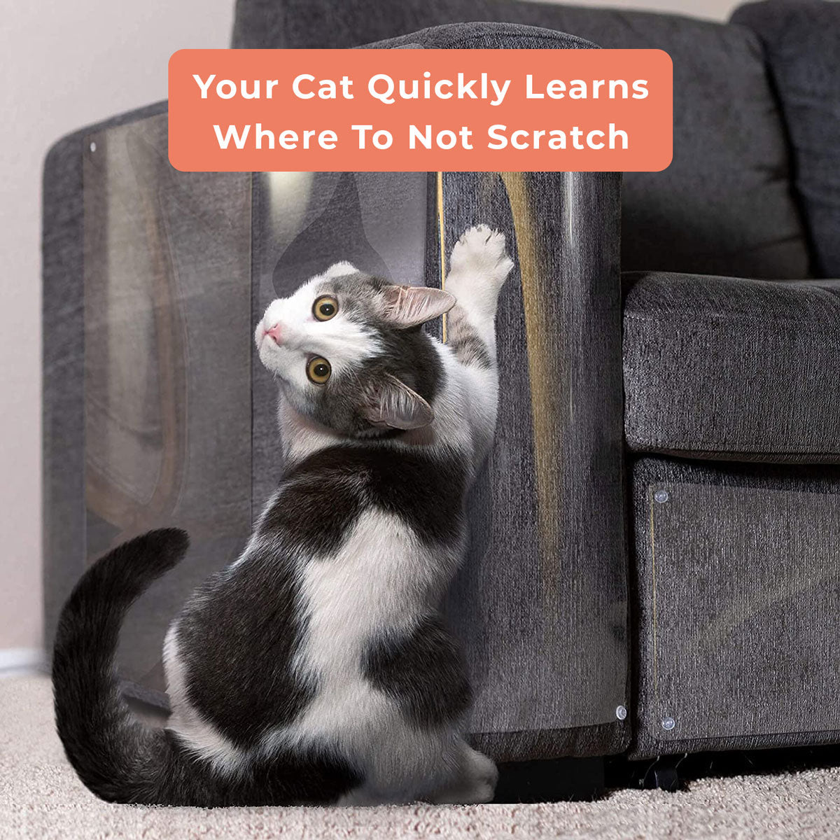 Feline Furniture Guard - product image 6