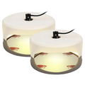 NOMOVA Indoor Bed Bug Trap
