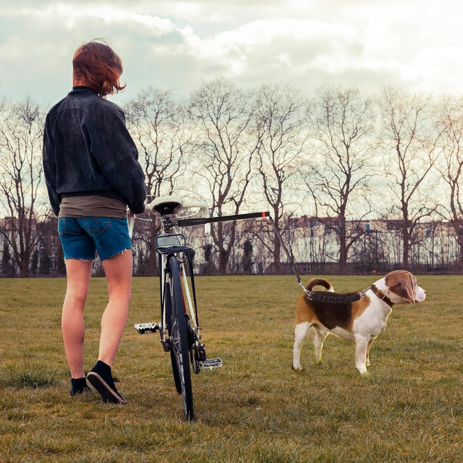 Bike Dog Tow Leash - product detail 6