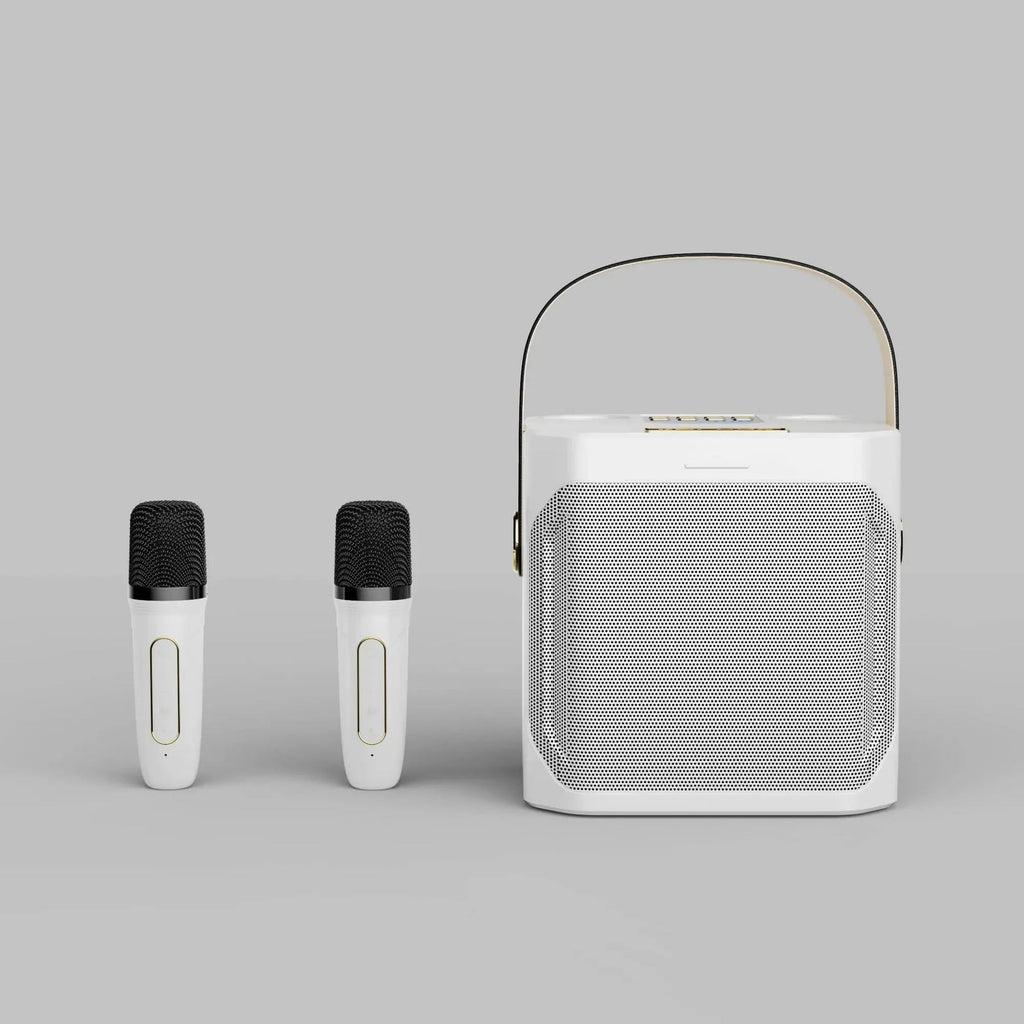 Powerful Karaoke Bluetooth Speaker - product detail 4