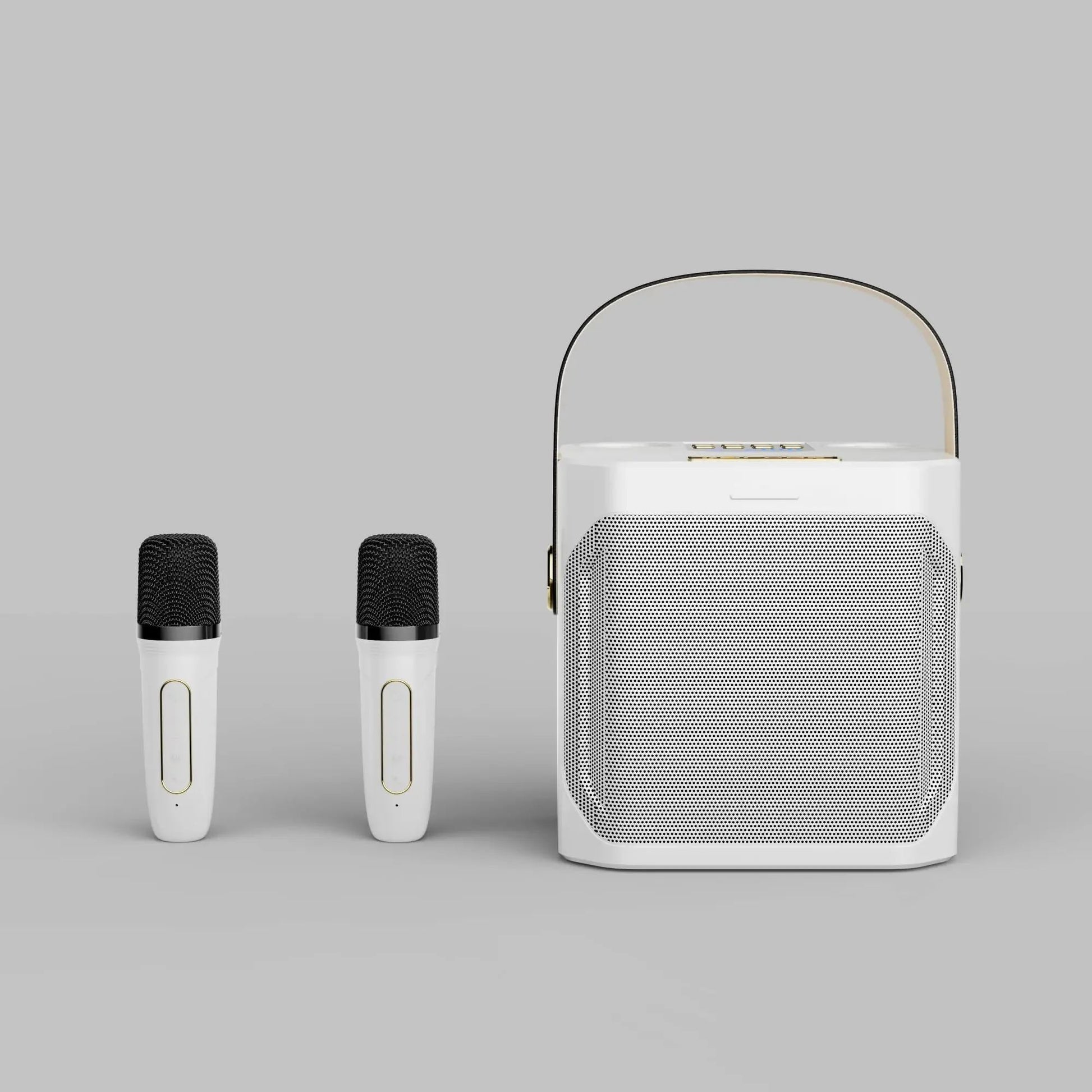 Powerful Karaoke Bluetooth Speaker - product detail 4