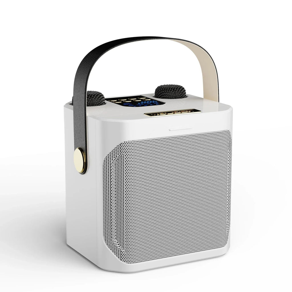 Powerful Karaoke Bluetooth Speaker - product detail 6