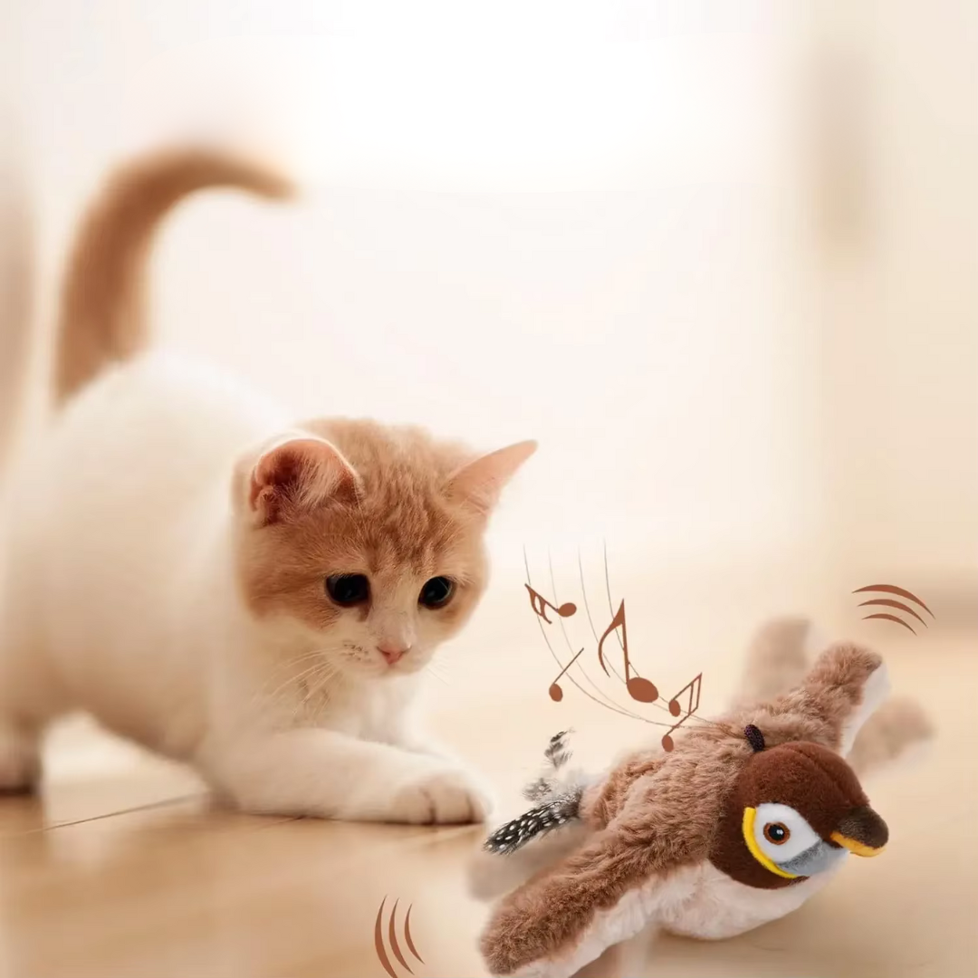 NOMOVA Fluttering Bird Cat Toy
