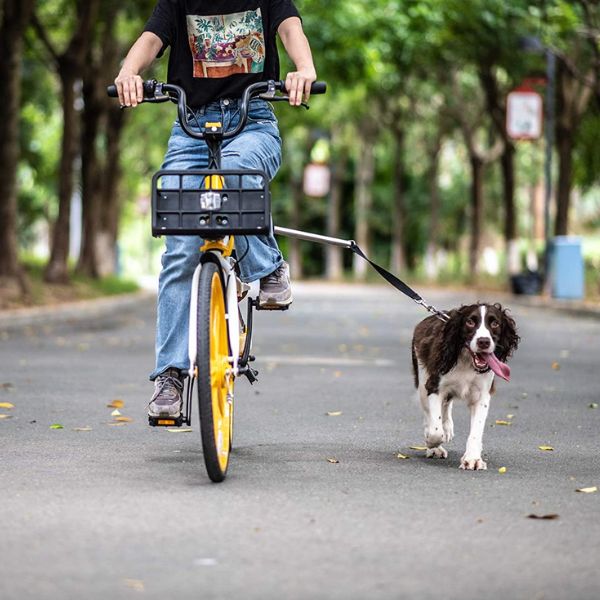 Dog Bike Harness - product detail 7