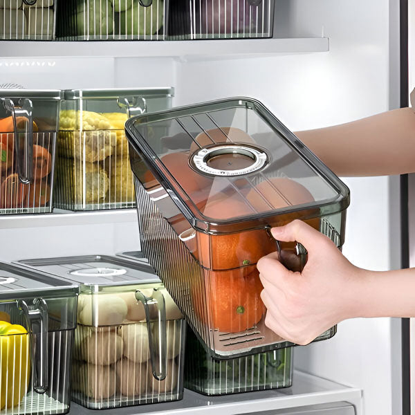 NOMOVA Perfect Refrigerator Box
