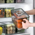 NOMOVA Perfect Refrigerator Box