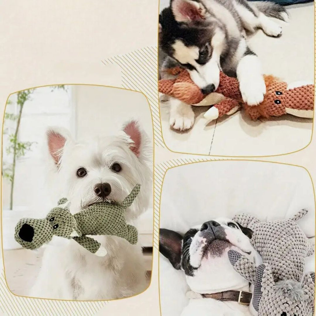 NOMOVA Durable Dog Toy